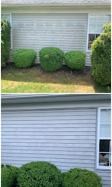 Pressure washing transformation 3