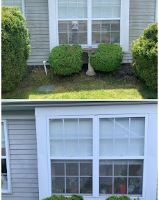 Pressure washing transformation 5